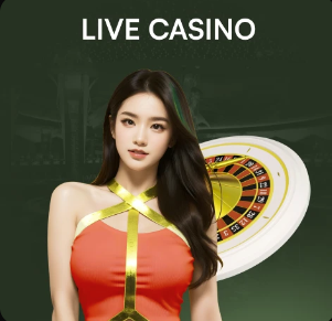 2026年3月24日CBA常规赛深圳vs江苏直播【24直播网】